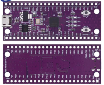 carte stm32 Microcontréleur W806 240MHZ